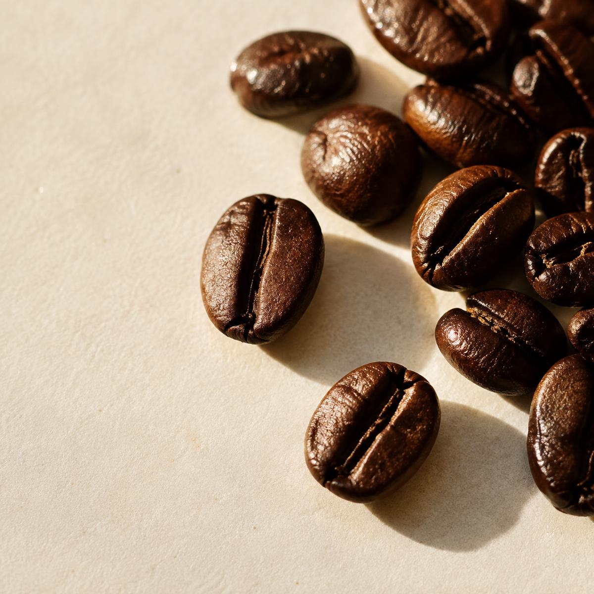 Proceso del café — etapa 4